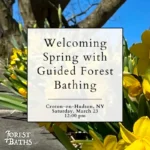 Flier for Spring Forest Bathing
