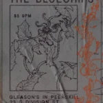 Flier for The Bluechips at Gleason's