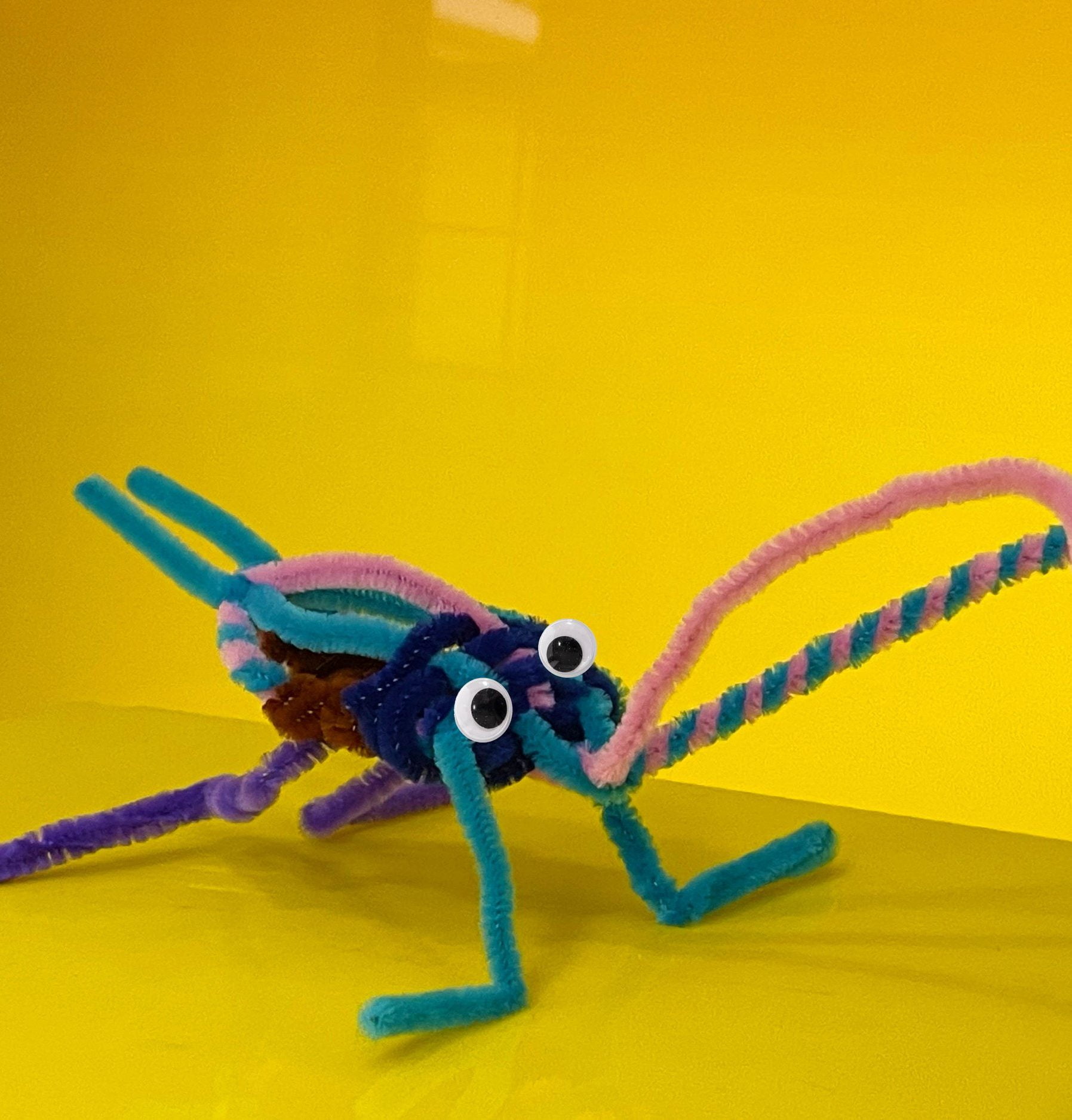 Pipe cleaner bug on a yellow backdrop.