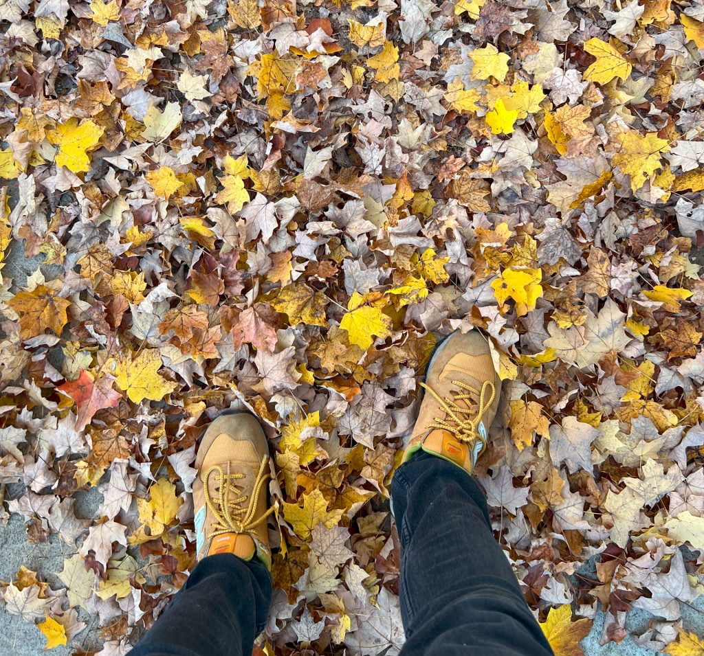 View of fall leaves on the ground with orange shoes seen crunching them.