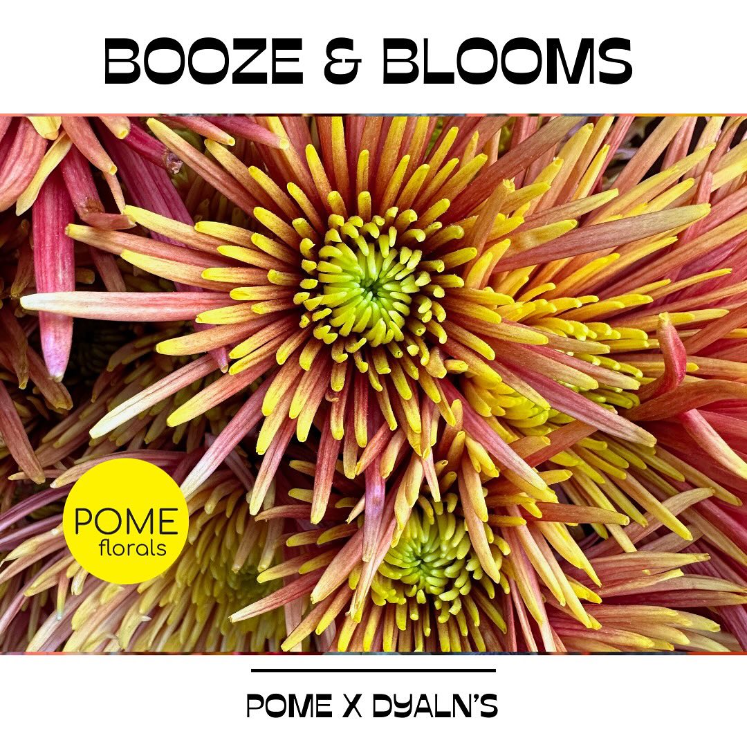 Flier for Booze & Blooms at Dylan's Wine Cellar