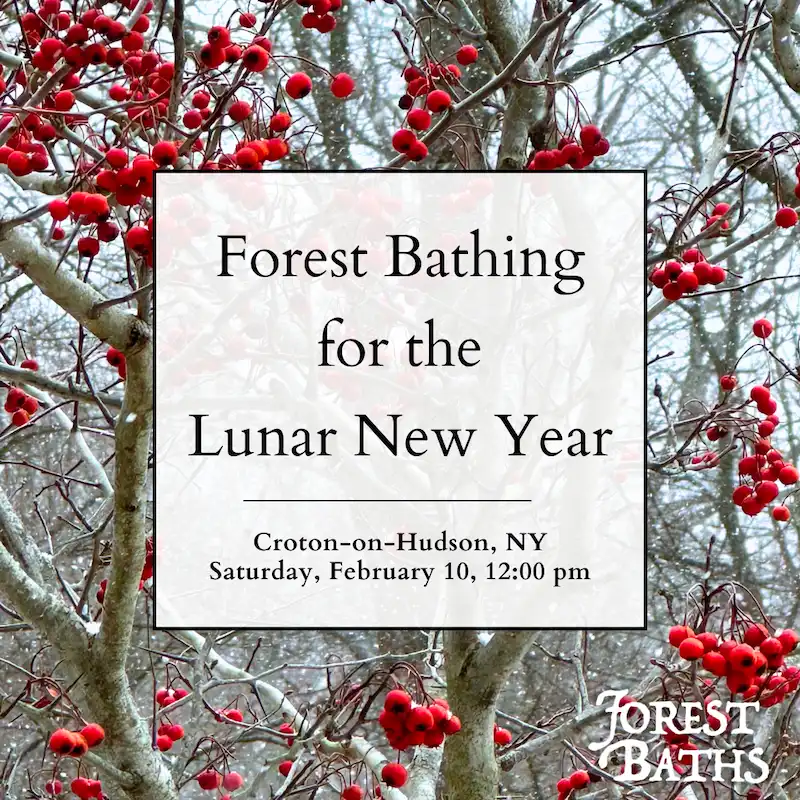 Flier for Forest Bathing Lunar New Year
