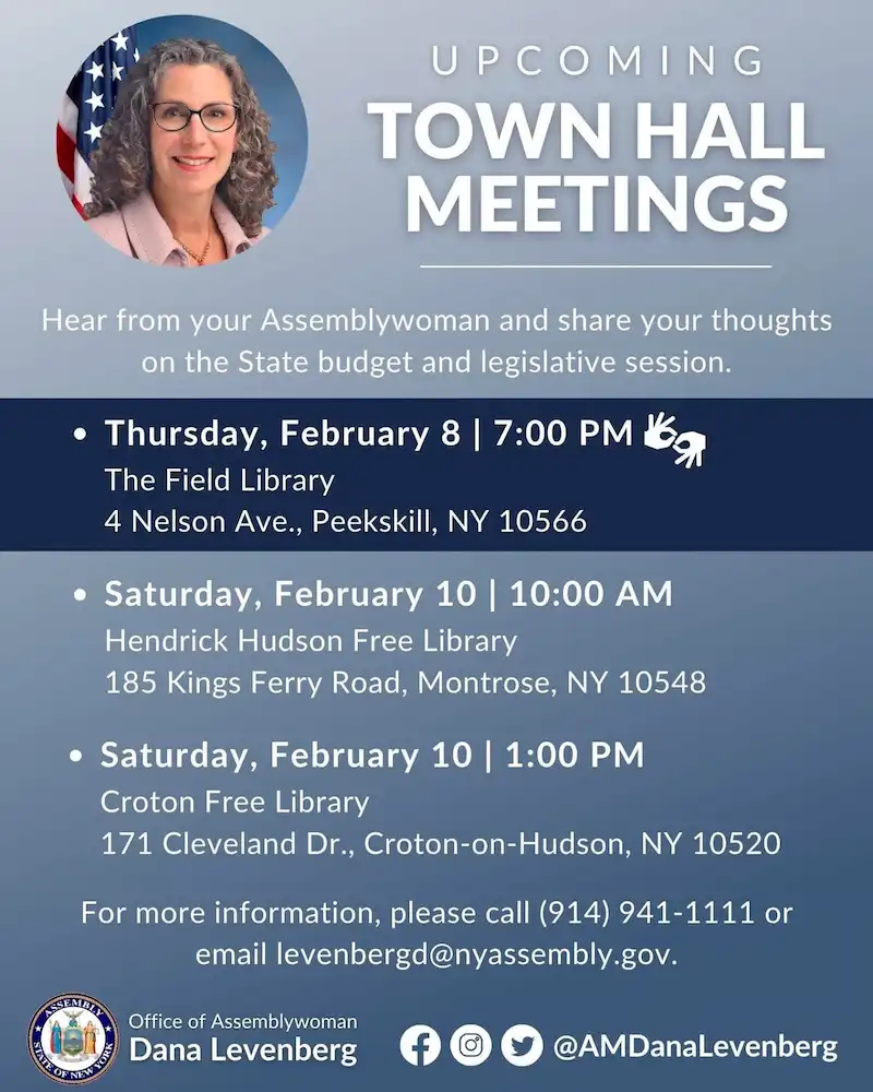 Flier for Town Hall with Dana Levenberg at The Field Library