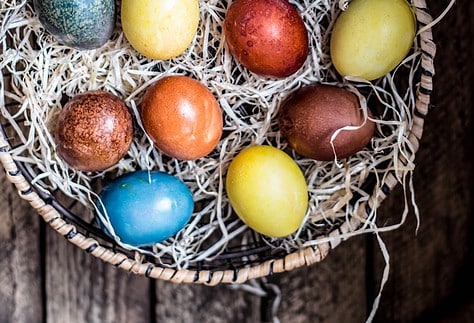 assorted-colored eggs