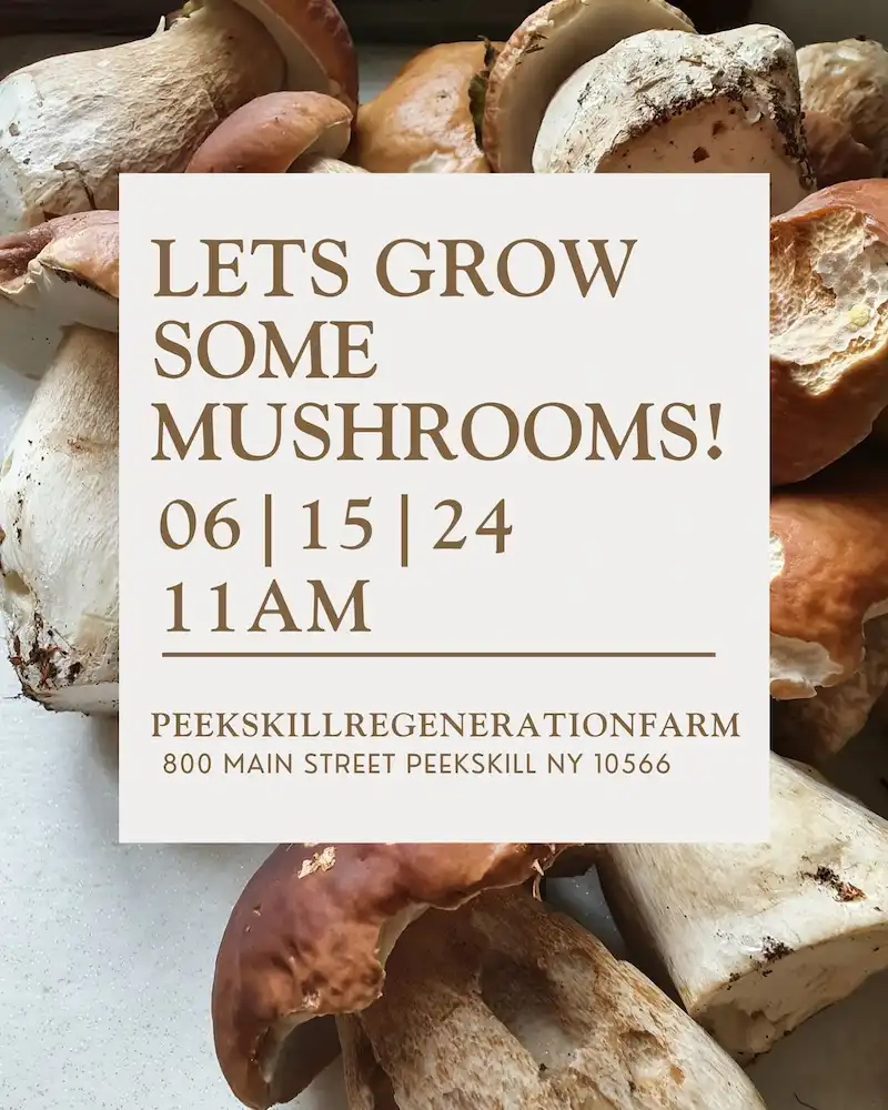 Flier for Let's Grow Some Mushrooms at Peekskill Regeneration Farm